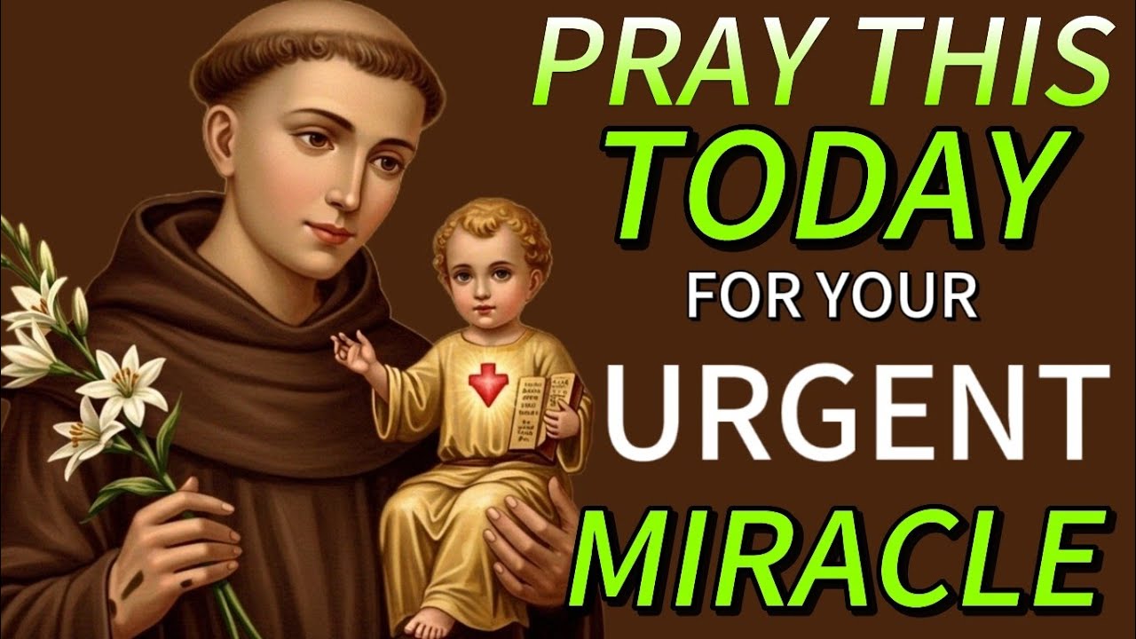POWERFUL MIRACLE PRAYER FOR IMPOSSIBLE CASES | Our Lady of Impossible & Powerful Miraculous Saints.