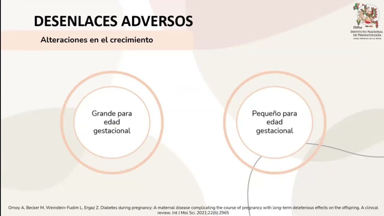 Manejo solo obstétrico de embarazo complicado con Diabetes Mellitus Tipo 2, Dra. Daniela Barbato S.