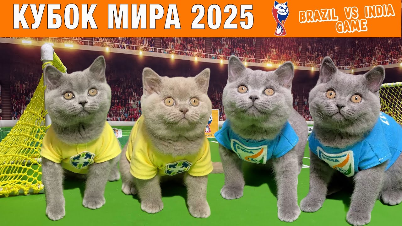 33 КОТЁНКА - МОХНАТАЯ ЗАРУБА! 🐾 ИНДИЯ🇮🇳 VS БРАЗИЛИЯ 🇧🇷 &mdash; ФУТБОЛ КУБОК МИРА СРЕДИ КОТОВ 2025!