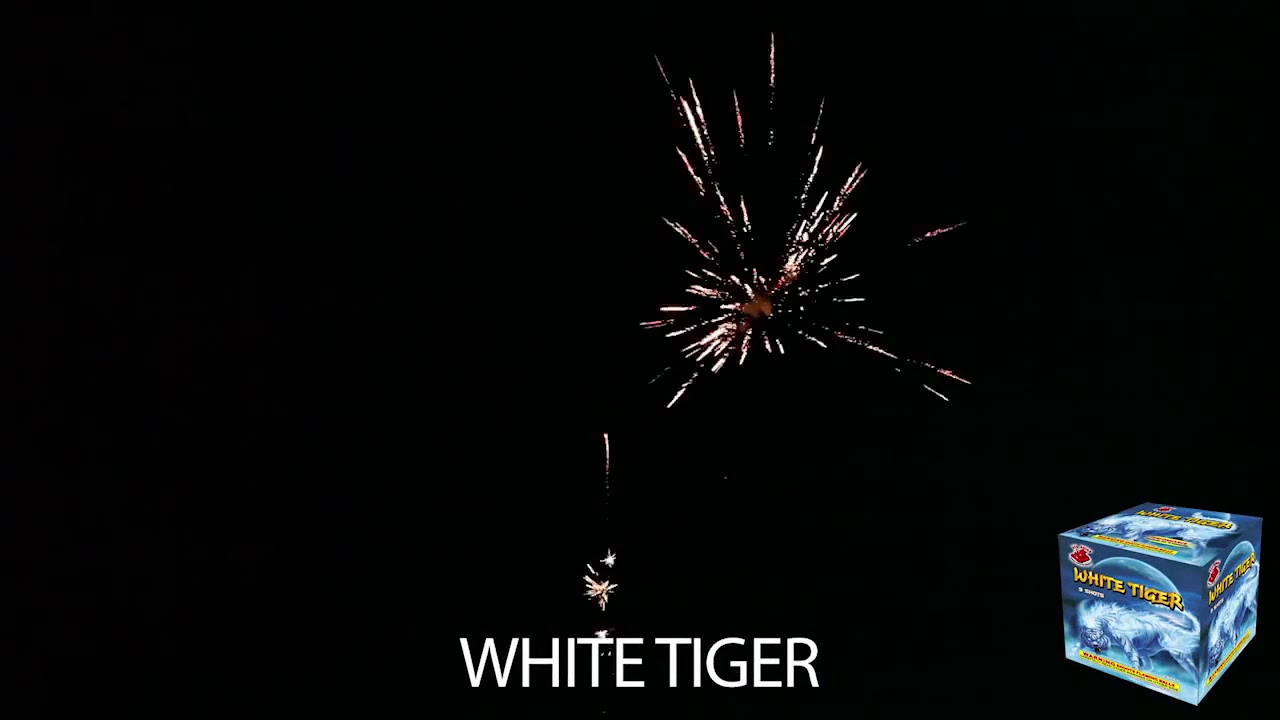 White Tiger Firework