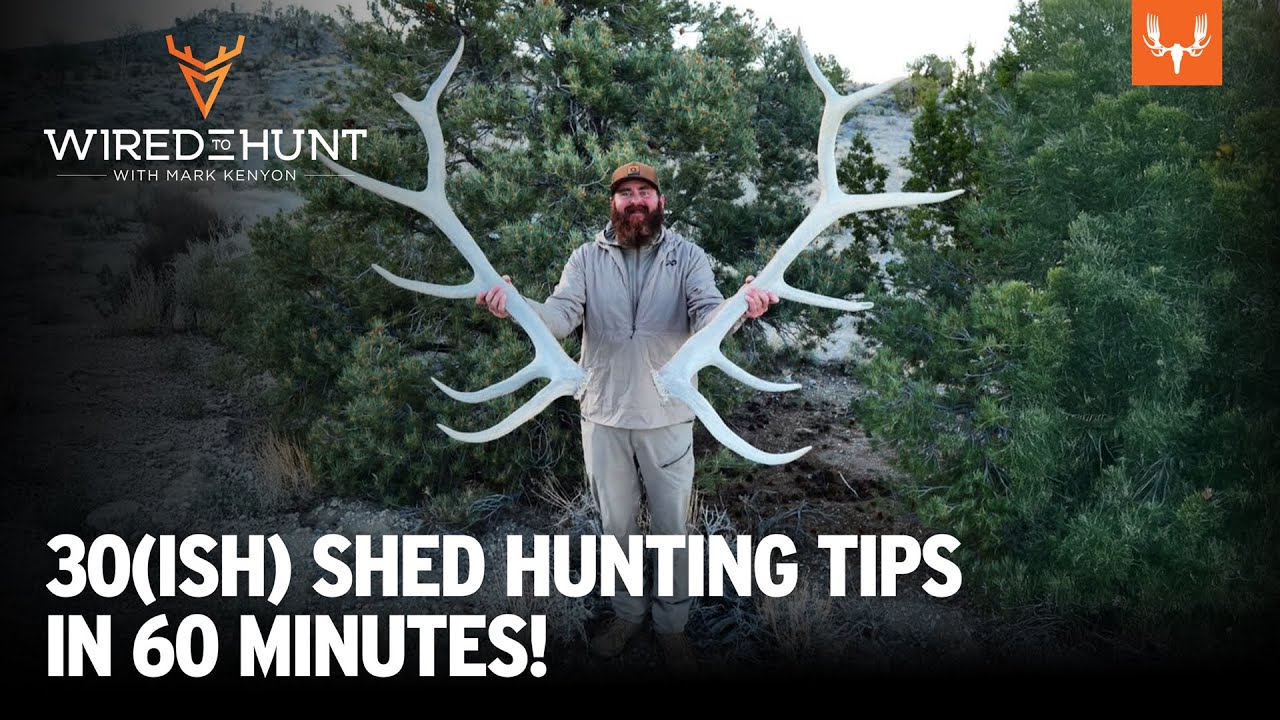 Shed Hunting Strategies with ShedCrazy Ben Dettamanti | Wired to Hunt Ep. 1006