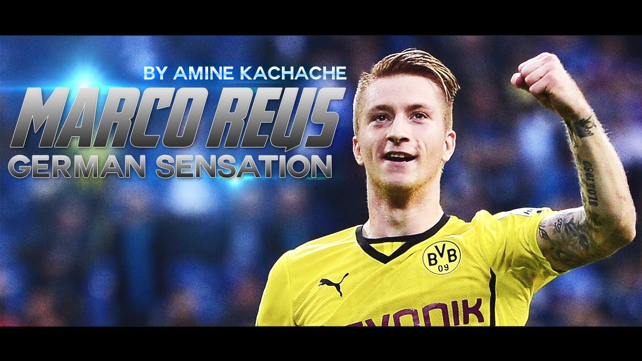 Marco Reus 2013/2014 | German Sensation - HD