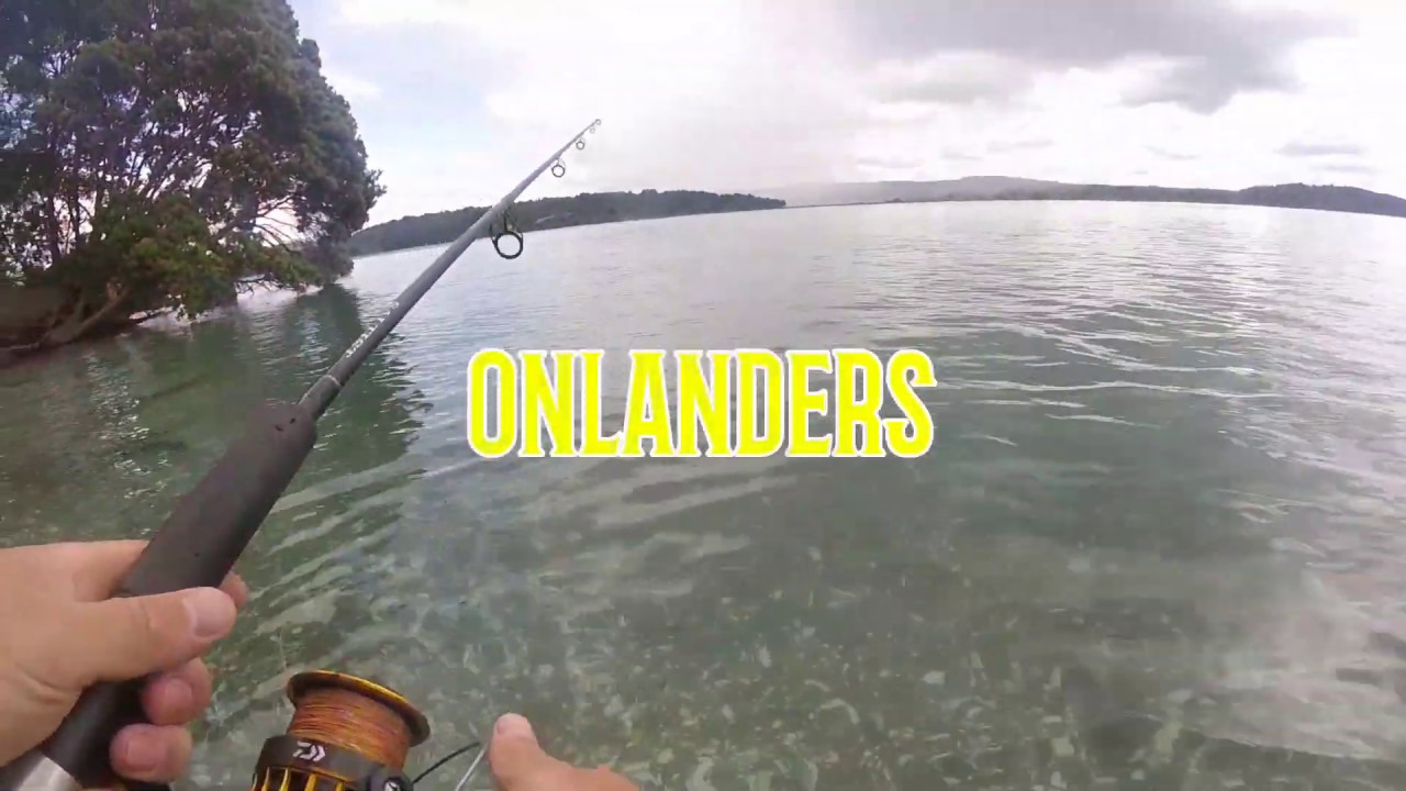 LANDBASED KINGFISH OHIWA HARBOUR - OHOPE NEW ZEALAND STICKBAITING