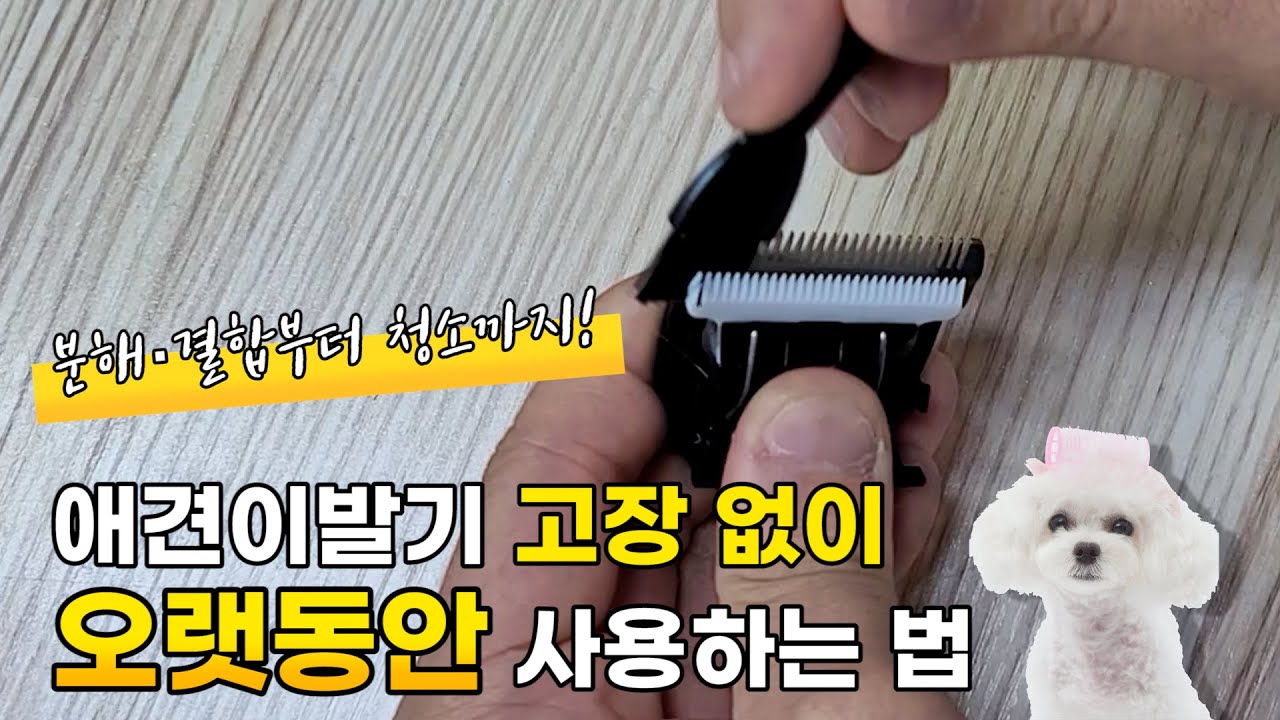 애견이발기 분해 · 결합부터 청소까지! 고장없이 오랫동안 사용하는 법 강아지바리깡