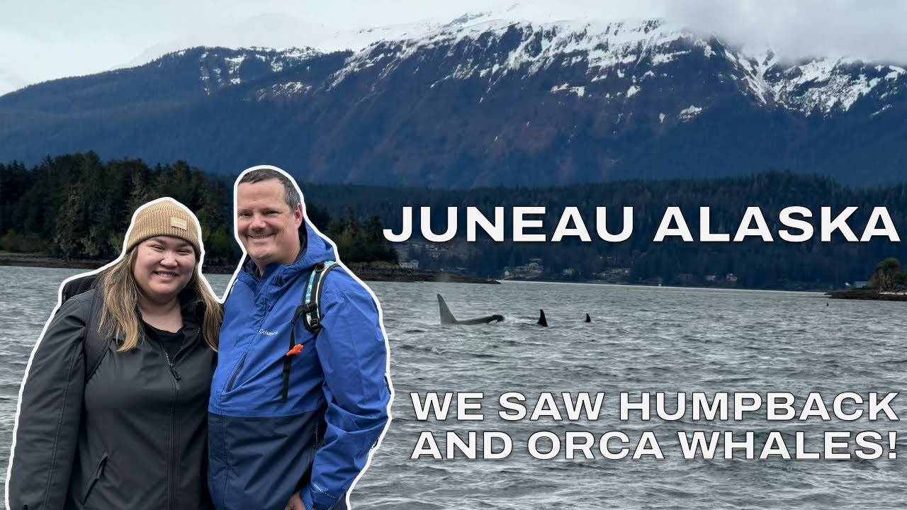 Juneau Alaska (Ruby Princess Cruise Port) Whale Watch, Mendenhall Glacier, Nugget Falls, Food
