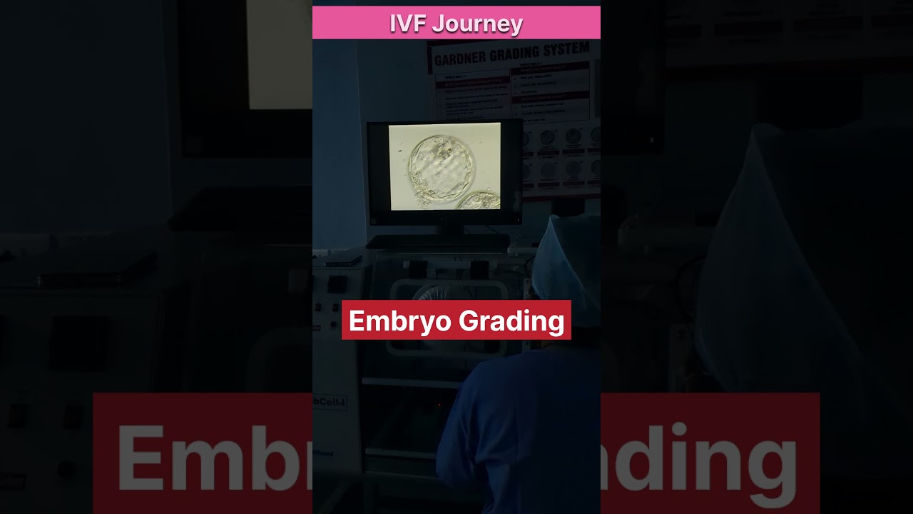 IVF treatment journey, IVF treatment for pregnancy by Dr Rakshita Malik #ivfdoctor #ivfspecialist