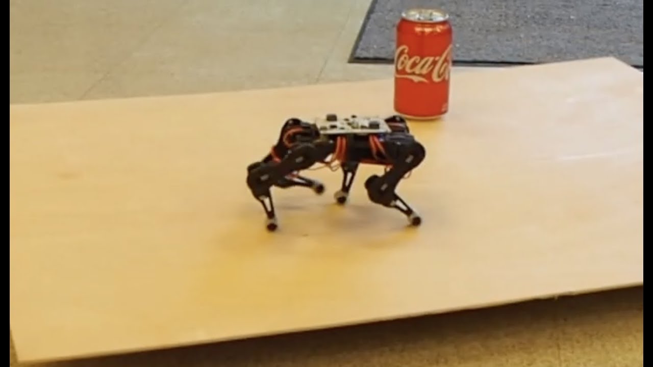 Introducing Itty Bitty RoboKitty | The Latest OpenCat Model  | PetoiCamp