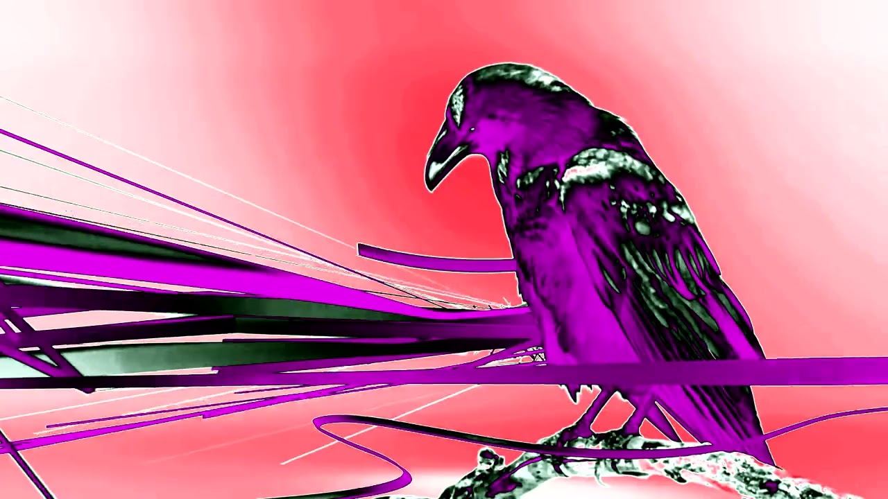 [REQUESTED] TVN7 Ident Kruk 2014-2021 Effects