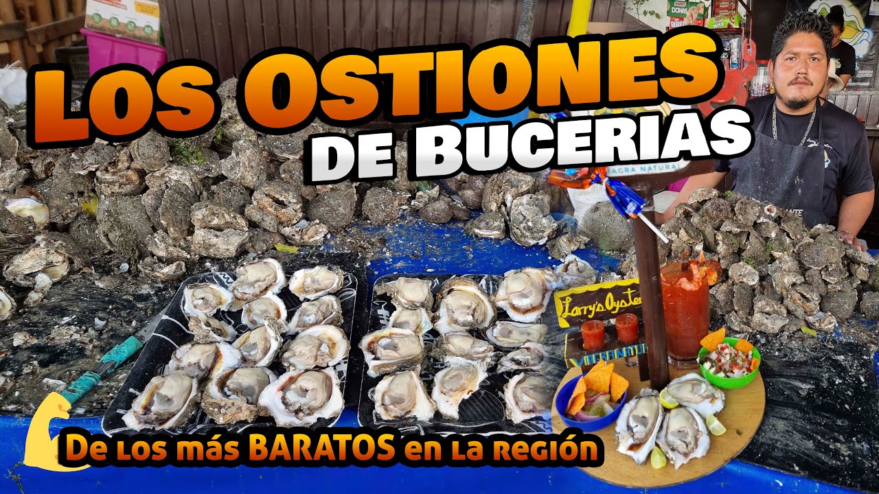 Los Ostiones M&Aacute;S Grandes y Baratos | Puerto Vallarta