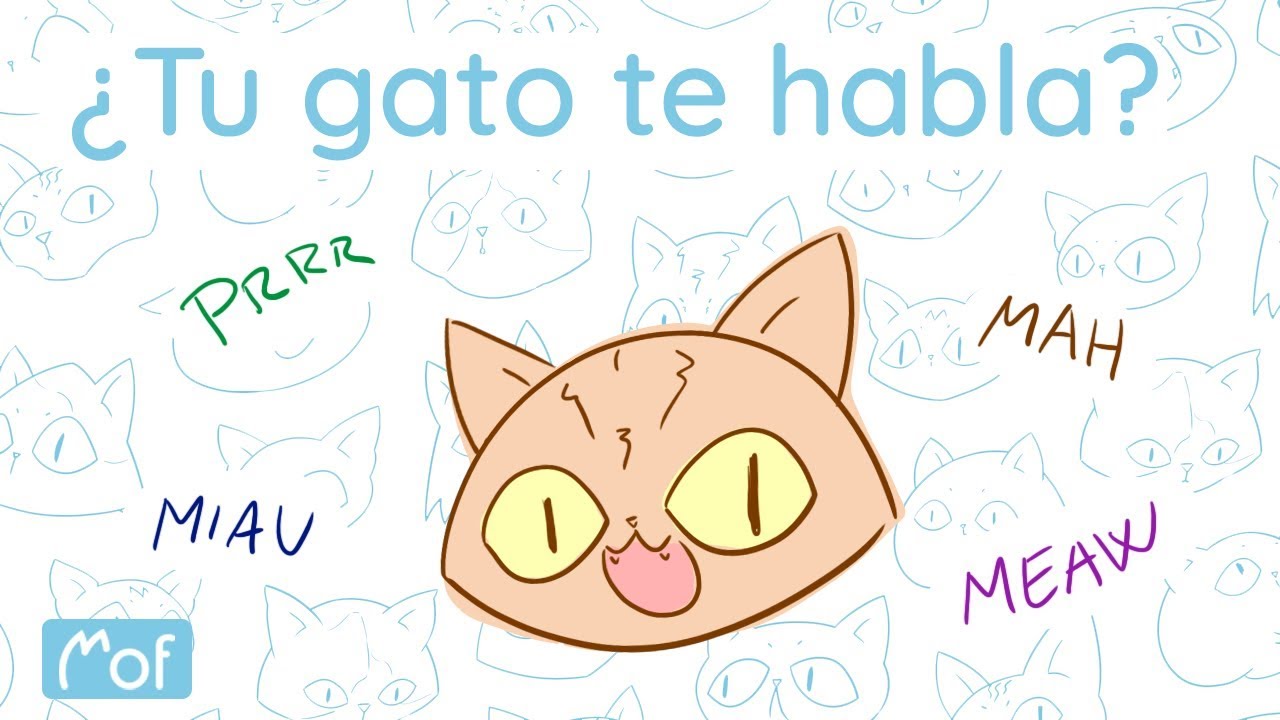 ¿Tu gato te habla? | Mof