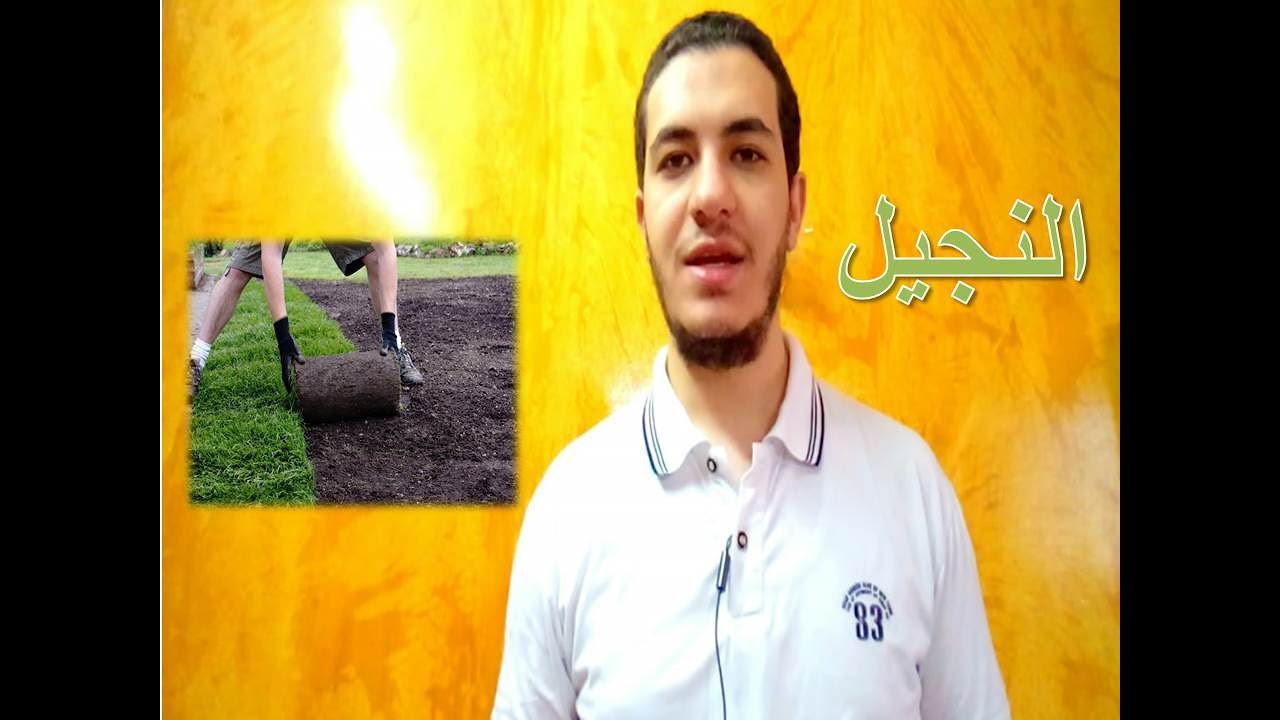 دحيح زراعة | النجيل  بداية من إعداد الأرض لزراعته حتي صيانته بعد الزراعة