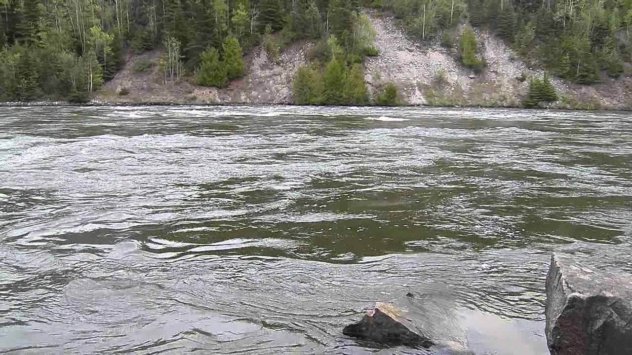 Lake Trout on Nipigon River