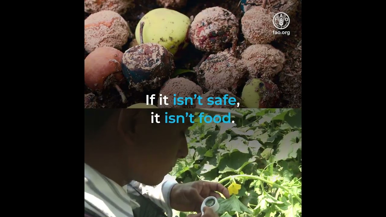 Food safety is part of food security