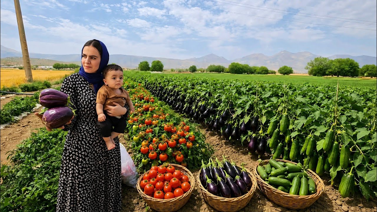 Zahra's organic harvest, fruits in the mountain garden and nomadic life in the Zagros
