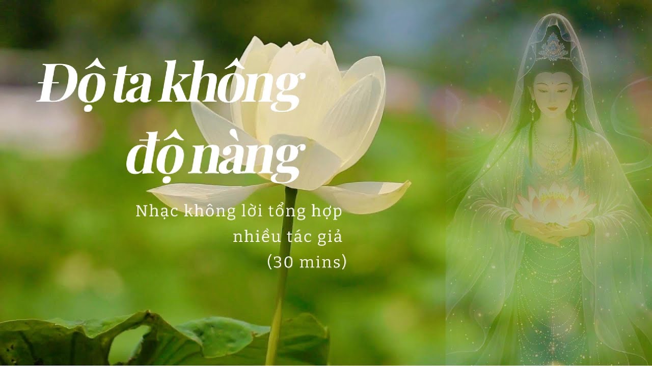 Độ ta không độ nàng nhạc không lời - Relaxing music #relaxingmusic