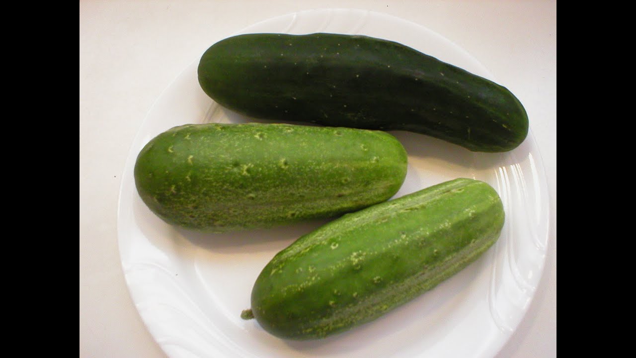 Cucumbers 101-Types of Cucumbers
