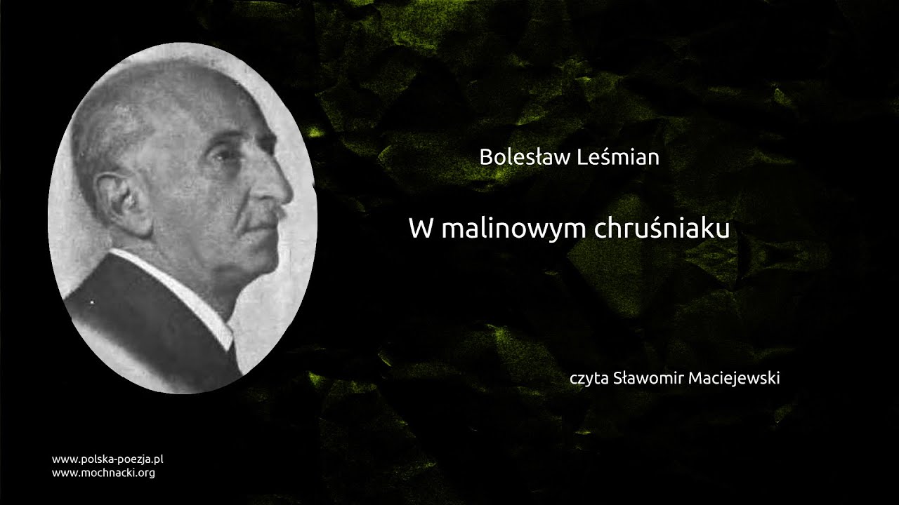 Bolesław Leśmian - W malinowym chruśniaku