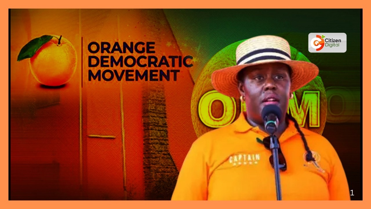 Winnie Odinga endorsed to succeed late Raila Odinga in ODM