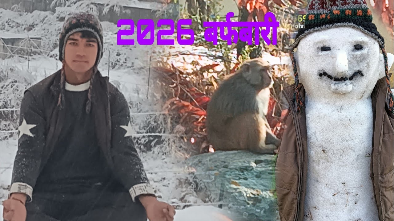 बंदर भी पेड गिरने से अचंभित हो गया यह क्या हो गया 2026 पहली बर्फ बारी🌨️🌨️