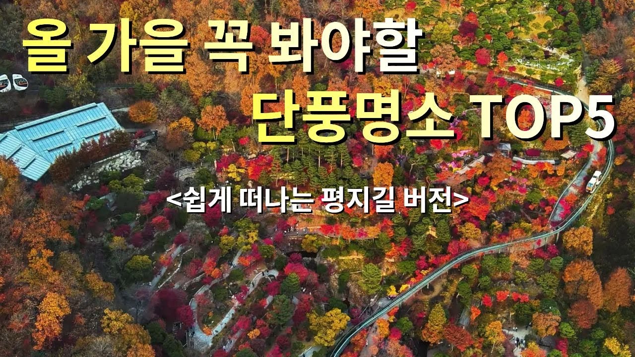 올 가을 꼭 가봐야할 단풍명소 TOP5 #단풍 #단풍명소 #등산 #사찰