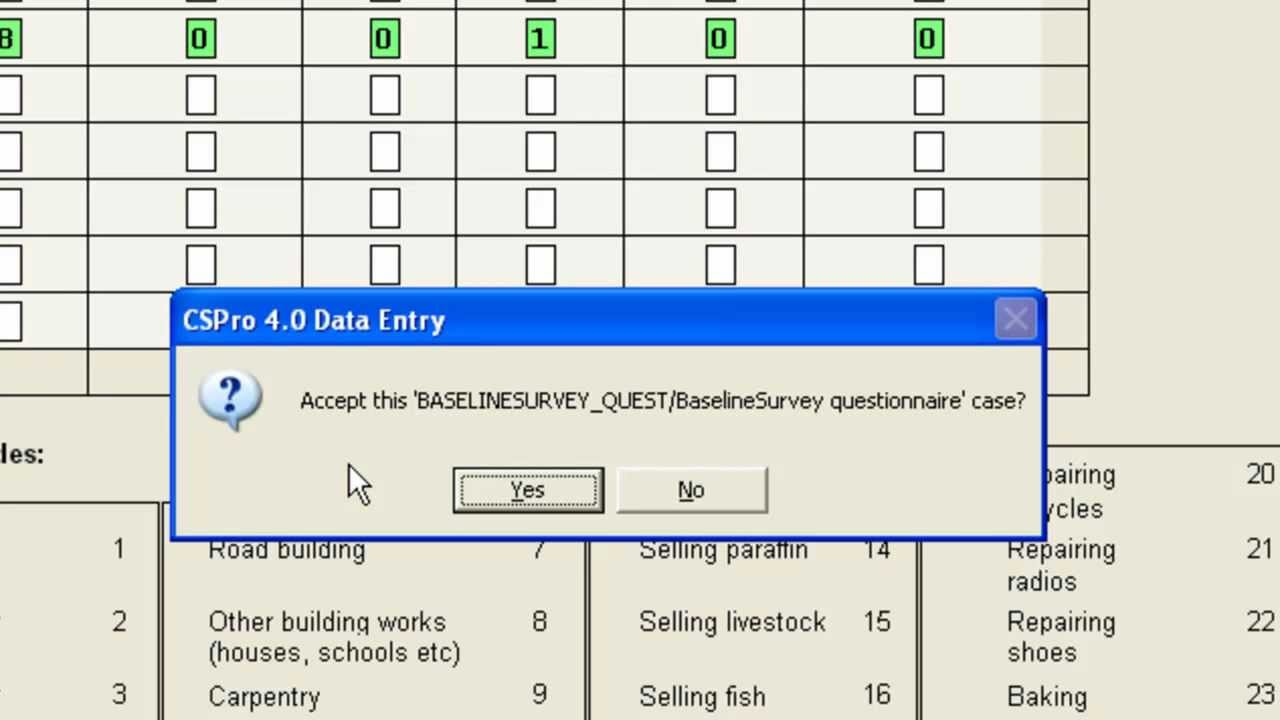 8 Testing the CS-Pro data entry system