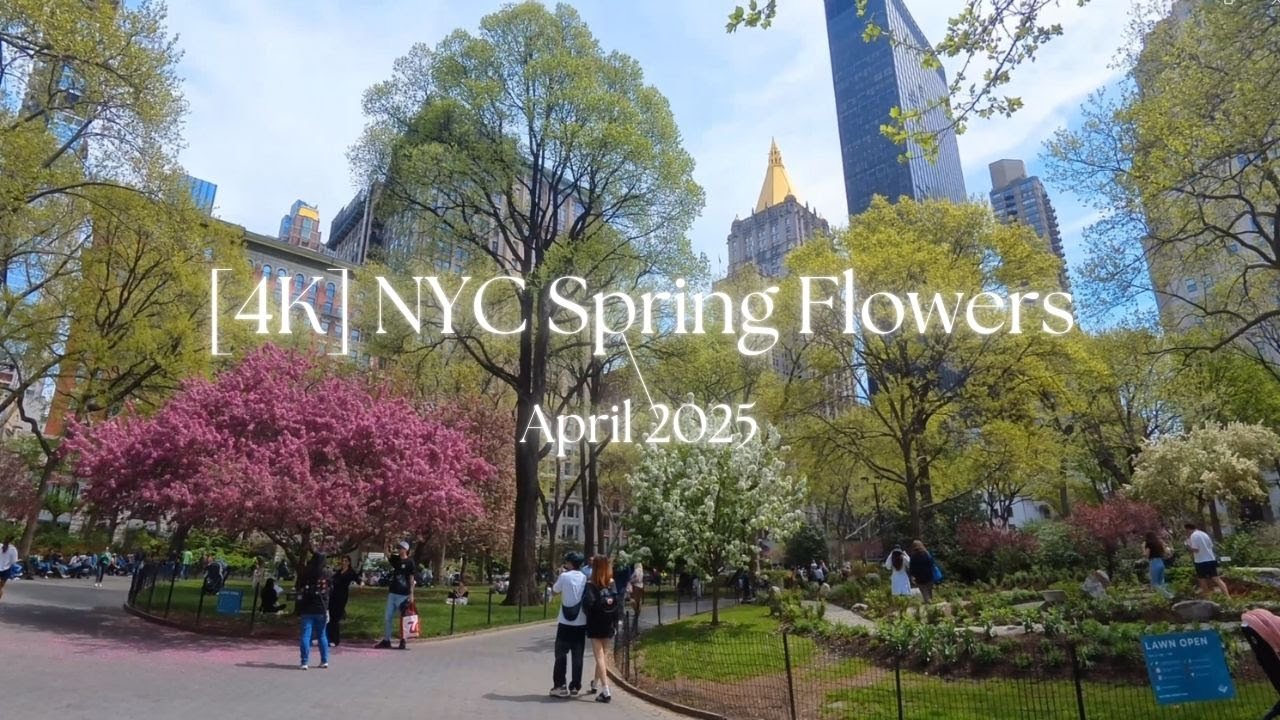 [4k] NYC Beautiful Spring Flowers, April 2025