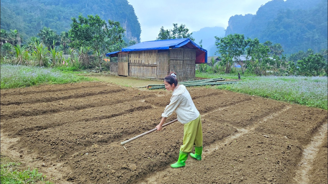 Start a new life in the wilderness - building a new home: complete a wonderful vegetable garden.
