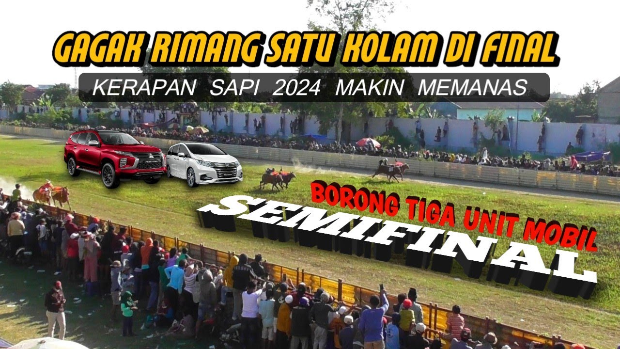 semifinal kerapan sapi hut pakar sakera 2024 bonus final