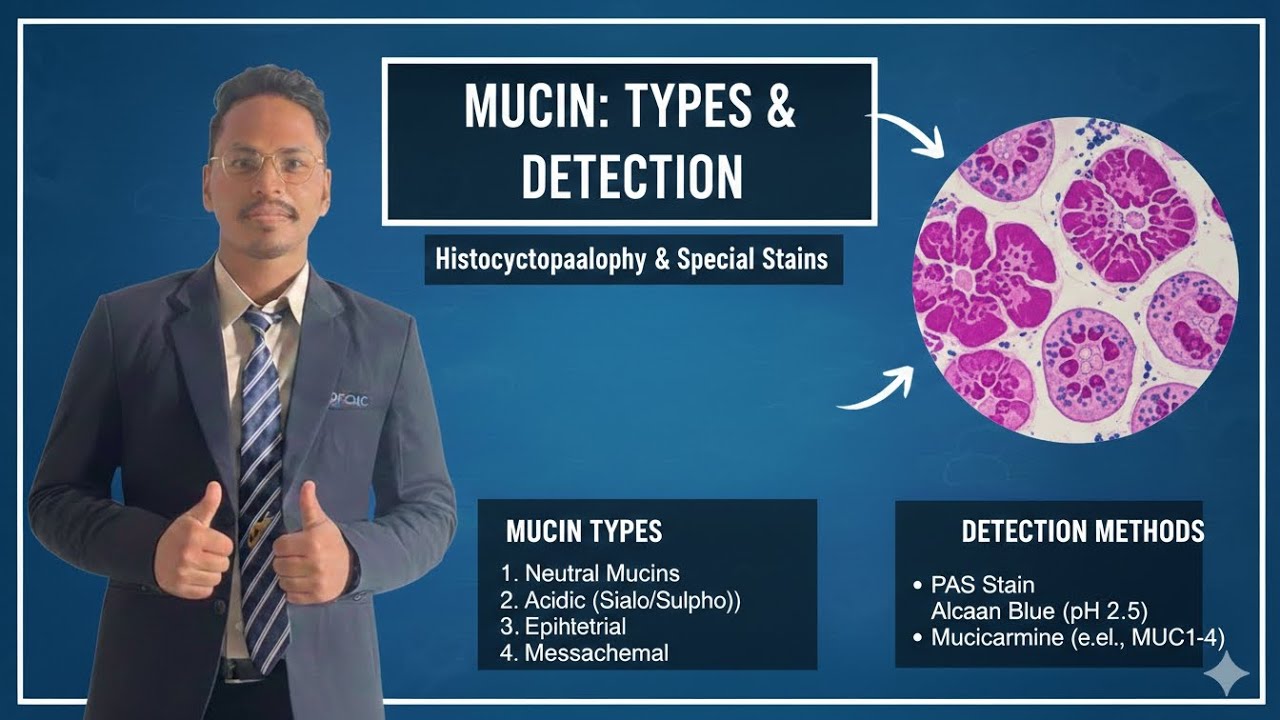 Mucin in Histopathology: Types, Staining Techniques, and Diagnostic Significance