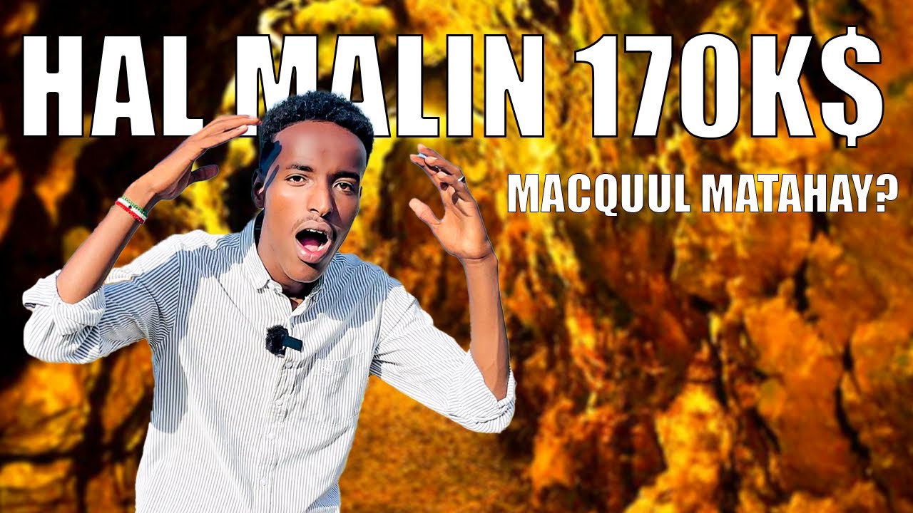 BUURTA DAHABKA | HAL MALIN 170K$😱