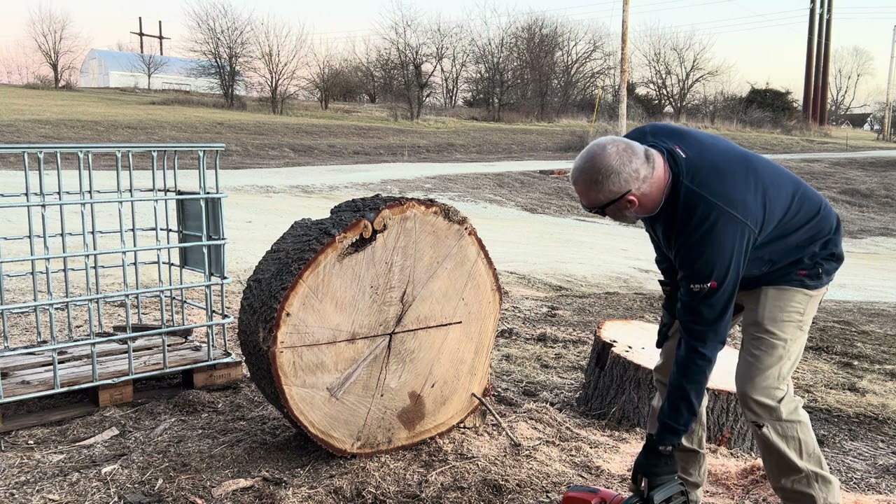 Quartering big oak rounds for splitting 
