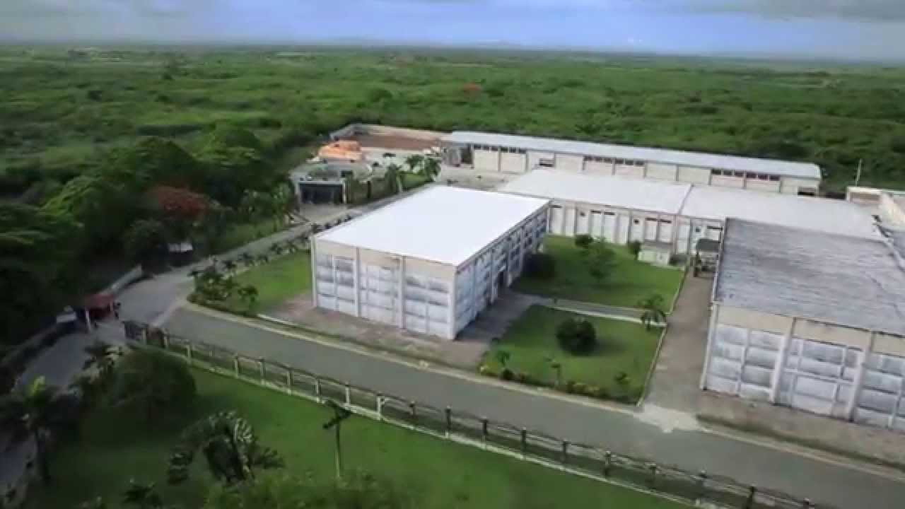 Ron Barceló Corporate Video