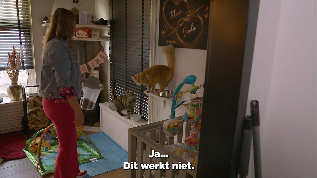 Greetje voert de katten gaat fout? | EXTRA BEELDEN URK!