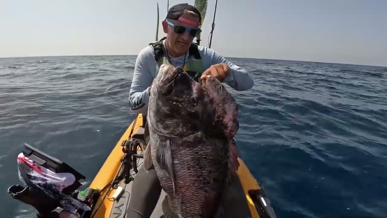 Dentex Gibbosus XXL - Pesca en kayak 🚣🏽&zwj;♂️🎣