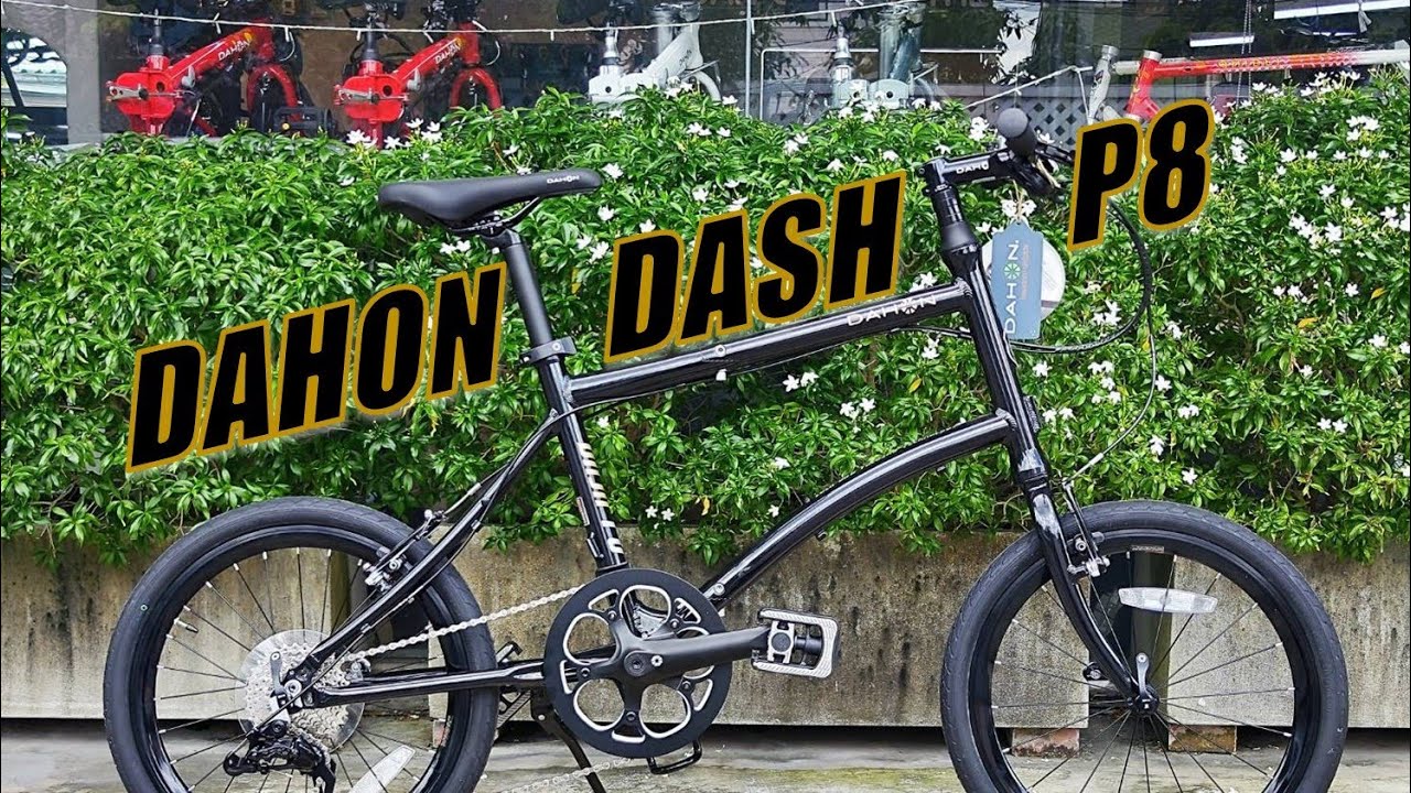 DAHON DASH P8 มินิเวโล่ พับได้ๆๆๆ