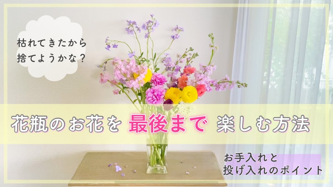 【花を飾る】花瓶のお花を最後まで美しく|お手入れと投げ入れのポイント解説|