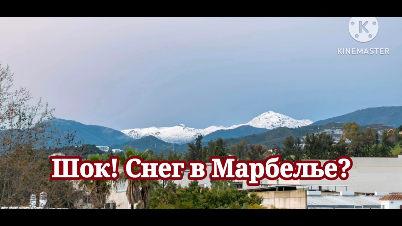 12й ЦИКЛОН в Марбелье +7°C и снежные горы Спасаем настроение в JYSK #обзортоваров #jysk #marbella