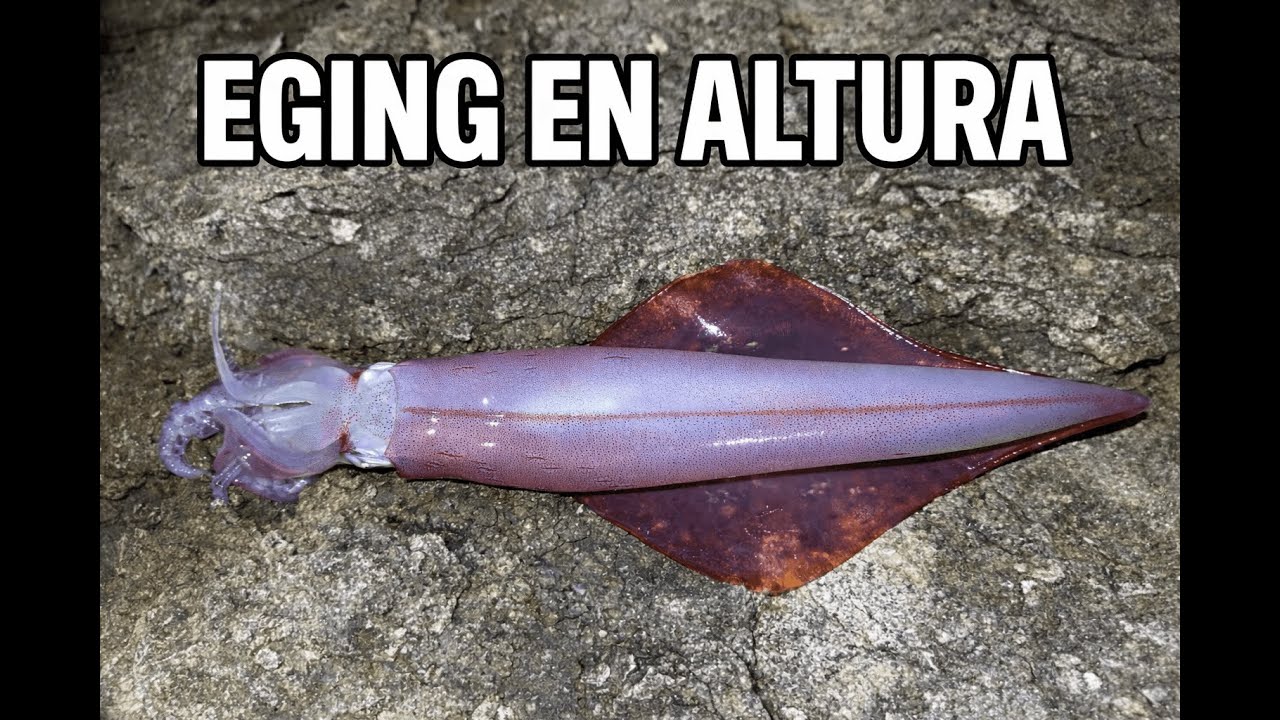 EGING EN ALTURA
