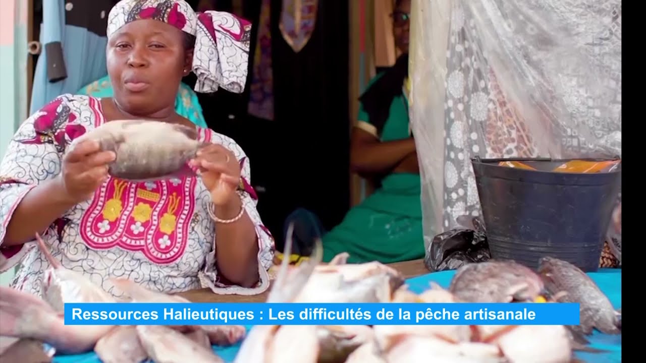Ressources halieutiques : les difficultés de la pêche artisanale en Côte d'Ivoire (Eco Plus)