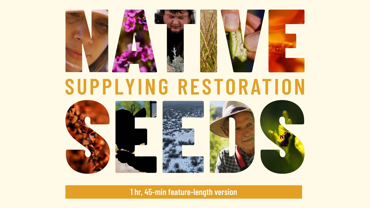 Native Seeds: Supplying Restoration - Full movie
