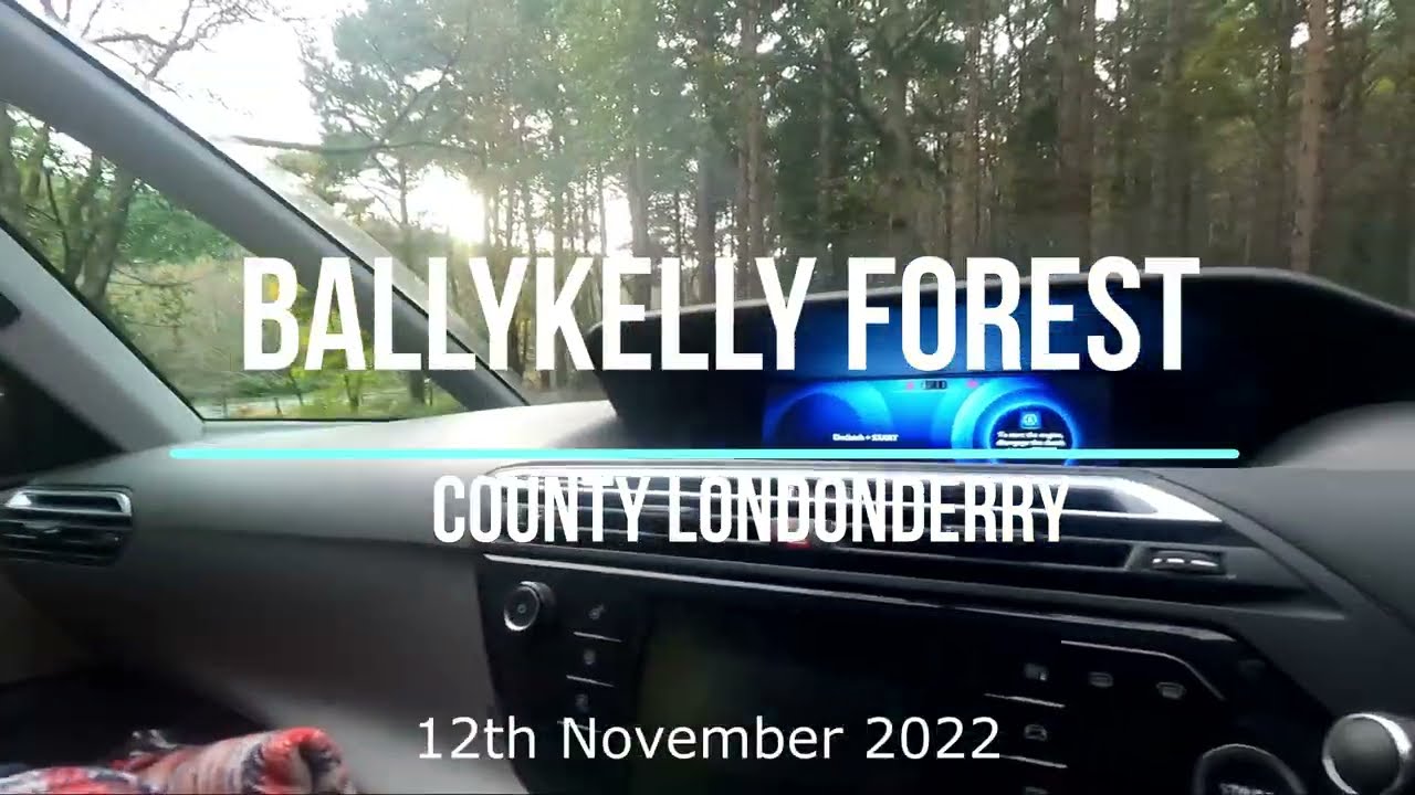 Ballykelly Forest, County Londonderry 12th November 2022