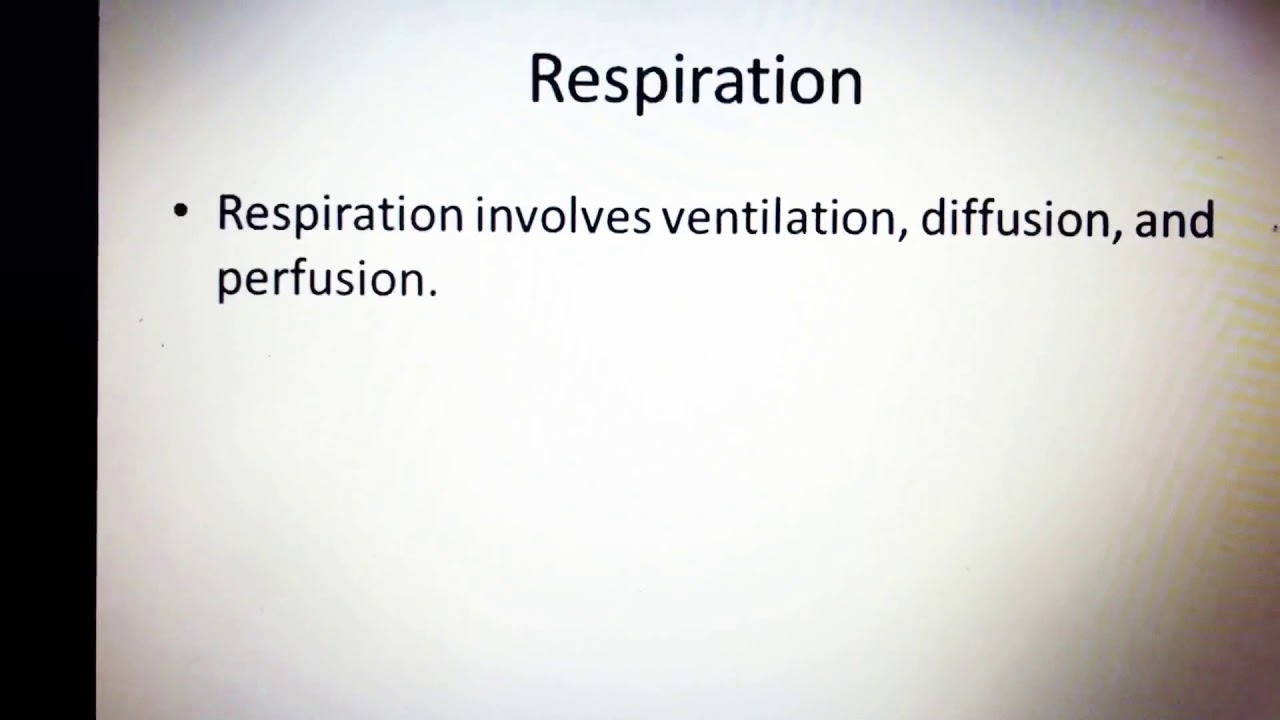 Vital sign 4-respiration العلامات الحيويه -التنفس