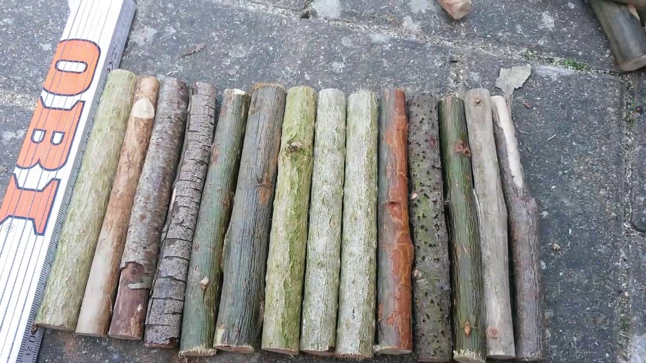 Eine Nagerbrücke selber bauen - #bauen2