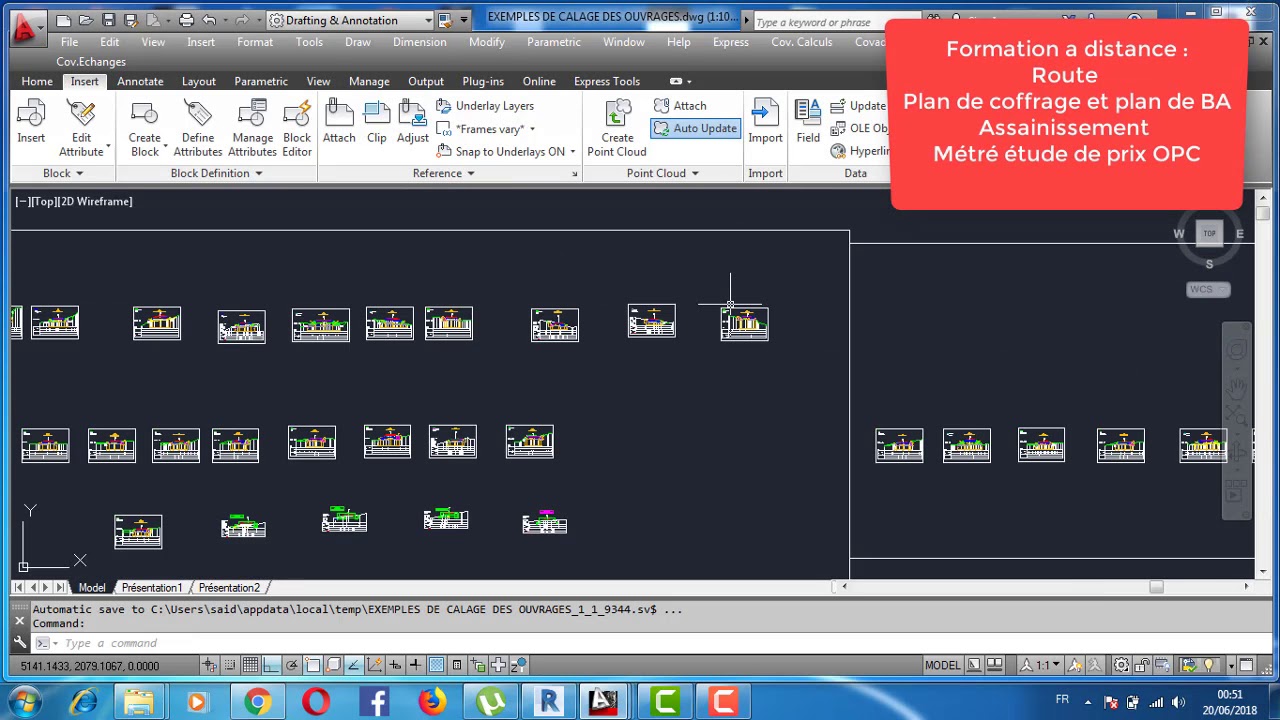 Calage des Ouvrages Hydraulique sur Autocad P1
