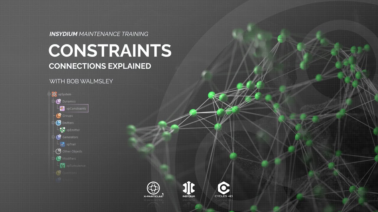Maintenance Training - Constraints - Connections Explained