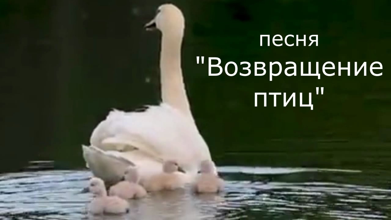Ю.Р. 