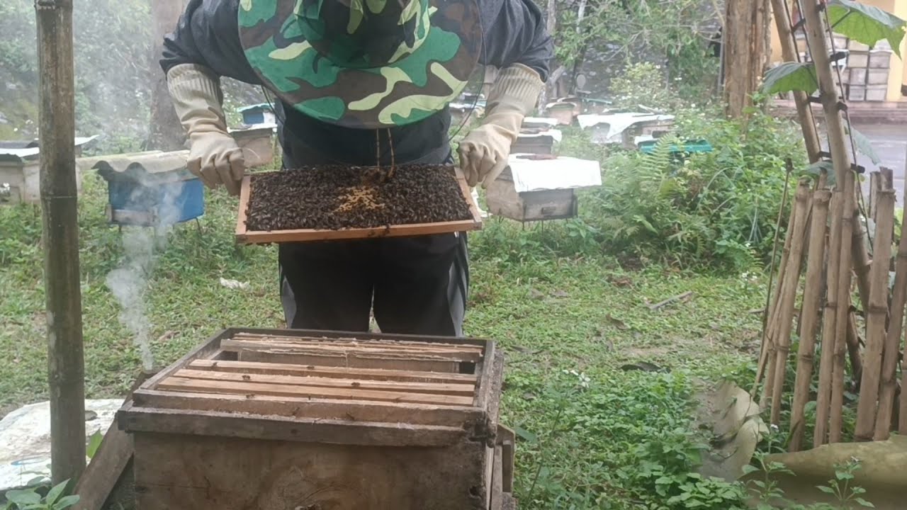 Cách tạo bầu mật to 