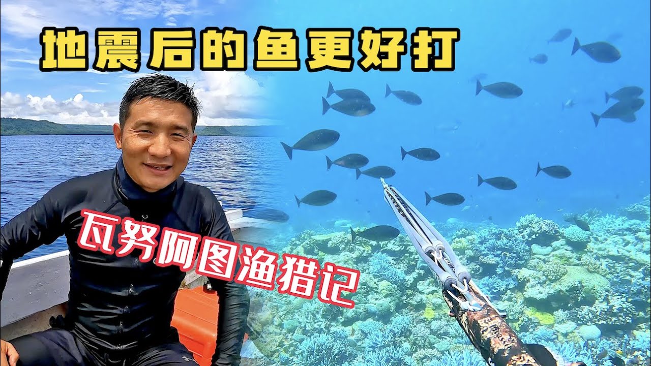 《瓦努阿图》第24集：今天的渔猎就是简单，总有一大群鱼游向我！#环球旅行 #瓦努阿图 #旅行 #潜水 #渔猎#自由潜