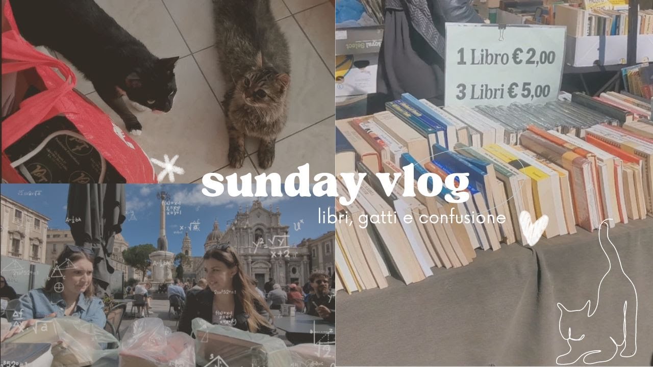SUNDAY VLOG || Libri usati, gatti e mercatini