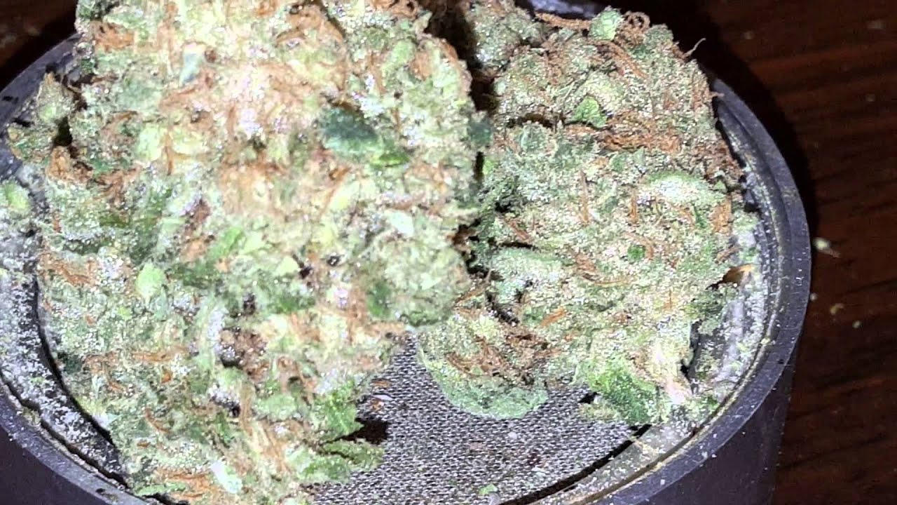 Bong time strain review: durban poison  thc v